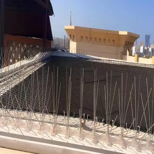 Expert Netting Top Quality Anti Bird Spikes Installation Services in Visakhapatnam, Vizag, Vijayawada, Rajahmundry, Kakinada, Tirupati, Kadapa, Kurnool, Anantapur, Ongole, Guntur, Bhimavaram