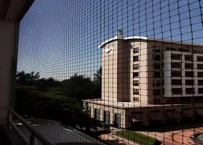 Expert Netting Top Quality Balcony Netting Service in Vizag, Visakhapatnam, Rajahmundry, Vijayawada, Kakinada, Kadapa, Kurnool, Anantapur, Ongole, Guntur, Bhimavaram, Tirupati