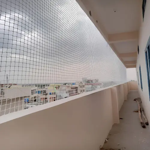 Expert Netting Top Quality Balcony Safety nets in Anantapur, Nellore, Kadapa, Khammam, Kakinada, Rajahmundry, Vijayawada, Guntur, Vizag, Visakhapatnam, Kurnool, Bhimavaram and throughout Andhra Pradesh