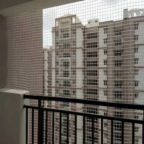 Expert Netting Top Quality Pigeon Net for Balcony in Vijayawada, Guntur, Vizag, Visakhapatnam, Rajahmundry, Kakinada, Tirupati, Kadapa, Kurnool, Anantapur, Ongole, Bhimavaram