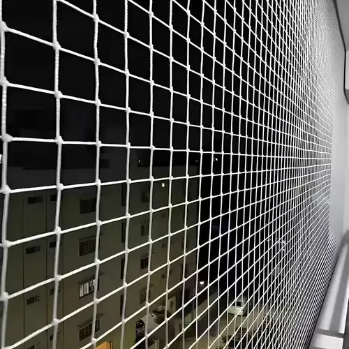 Expert Netting Top Quality Pigeon Net for Balcony in Vijayawada, Guntur, Vizag, Visakhapatnam, Rajahmundry, Tirupati, Kadapa, Kurnool, Kakinada, Anantapur, Ongole, Bhimavaram